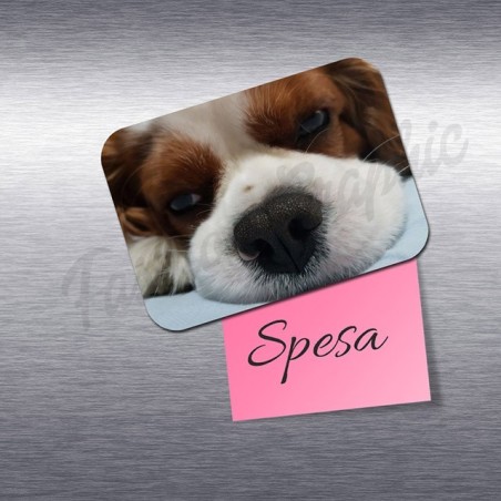 CALAMITA PERSONALIZZATA FOTO IMMAGINE RETTANGOLARE